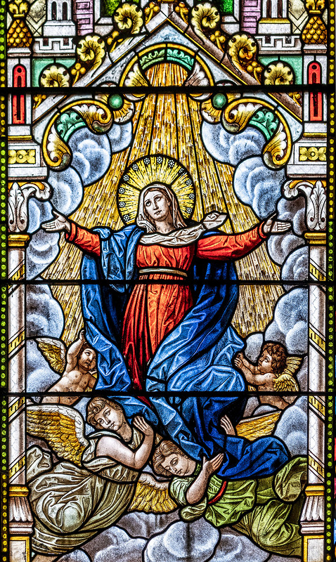 Erzdiözese Wien/ Schönlaub